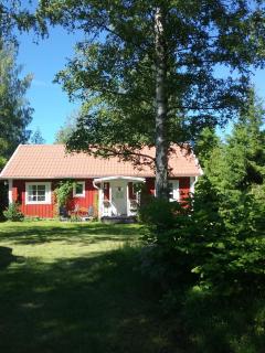 Björkslingan - Vimmerby - 0