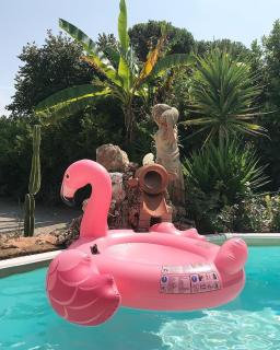 La Bouganville - Piscina e Relax - Camaiore - 8