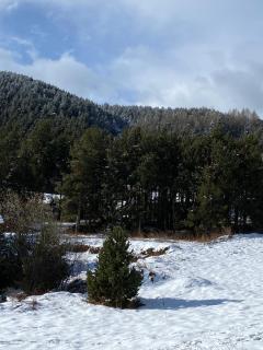 chalet au pieds des pistes le cambre aze - Bolquere Pyrenees 2000 - 4