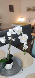 Be my Guest - Marszałkowska Studio - Center of Warsaw Subway Wi-Fi Breakfast - Varsavia - 5