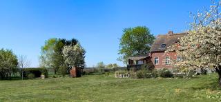 Vierseitenhof Hasenfelde - Ferienwohnung Feldblick - Steinhöfel - 8