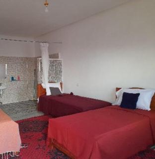 ZEN ECOLODGE - 3