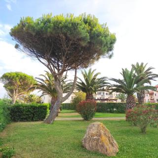 LES CAPITELLES 5 - Accès direct à la plage depuis le jardin - T2 avec cabine - 6 pers - jardin - Piscine - parking - Saint-Cyprien - 5