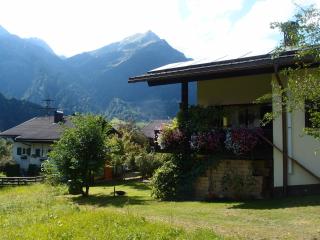 Haus Patria - Sankt Gallenkirch - 7