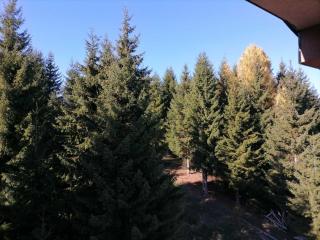 Apartman Zlatar Omiljena - Nova Varoš - 2