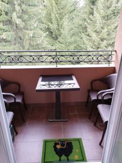 Apartman Zlatar Omiljena - Nova Varoš - 1