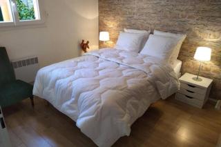 Blagnac : appartement T2 avec jardin, parking et climatisation - Blagnac - 5