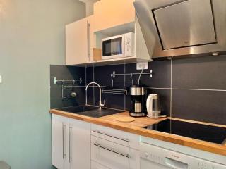 Blagnac : appartement T2 avec jardin, parking et climatisation - 6