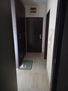 Sofia Apartment 2 - Surčin - 6