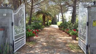 Campo alle More - Cecina - 8