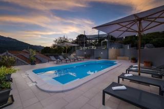 Villa Vito - with heated pool, whirlpool, gym - Šarići - 5