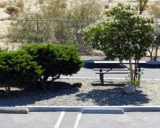 High Desert Motel Joshua Tree National Park - 2