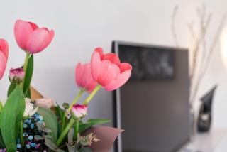 Apartment Suzana - 4