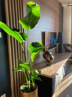 Apartamenty Termalne GREEN Apartment - Uniejow - 0
