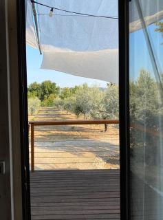 La Casa tra gli Ulivi - Cottage in legno - Pollutri - 9