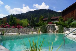 Thomanhof Chalet-Appartement - Saalfelden am Steinernen Meer - 9