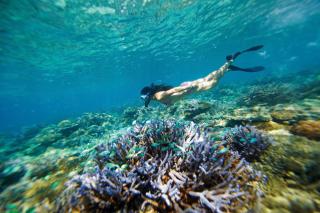 Mantaray Island Resort - Nanuya Balavu Island - 2