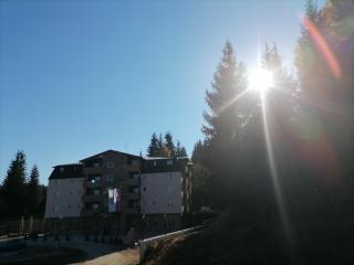 Apartman Zlatar Omiljena - Nova Varoš - 5