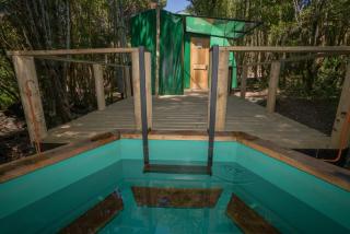 Cabañas Ensenada Bosque Nativo - La Ensenada - 7