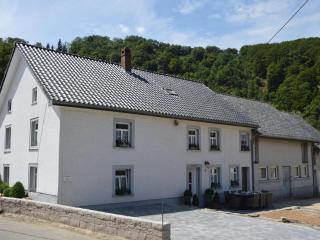 Villa in Burg-Reuland near High Fens - Burg-Reuland - 4