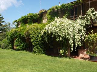 Agriturismo San Carlo - 5
