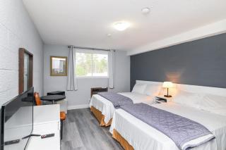 Lakeside Inn - Cloyne - 7