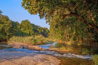 Aan De Vliet Holiday Resort - 3