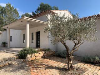 Magnifique Villa classée 4* meublé de tourisme - Flassans-sur-Issole - 9