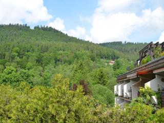 Wohnen am Kurpark Bad Wildbad - Bad Wildbad - 8