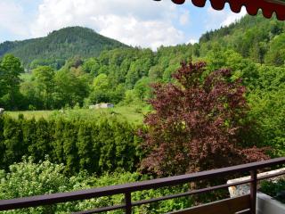 Wohnen am Kurpark Bad Wildbad - Bad Wildbad - 5