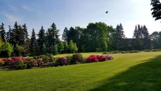 Hotel Floret - Prŭhonice - 2