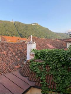 Winterland Sf.Ioan - 2