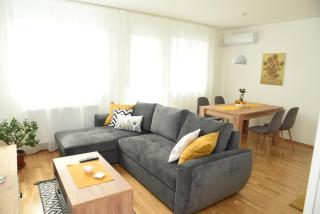 Suncokret Apartmani Loznica - Loznica - 0