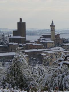 Agriturismo Podere Zollaio - Vinci - 8