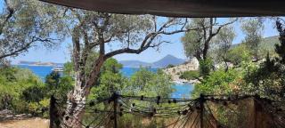 Apartmani Roganovic - Luštica - 0