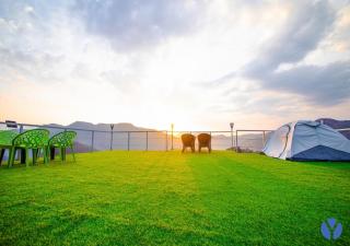 The Yakshaa Neelkanth - 3