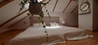 Domek - Apartament - Łapalice - 7