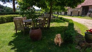 Domaine de Villateux - Terjat - 2