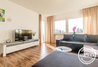 Ferienwohnung Harzblick 2 - 3