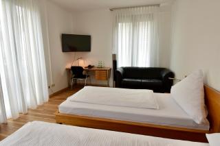 Hotel Kranz - Gottmadingen - 8