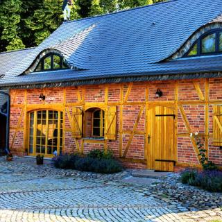 Violin house - Strzelinko - 9