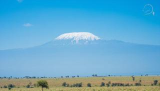 Amanya Double Pitch Tent with Mt Kilimanjaro View - Amboseli - 9