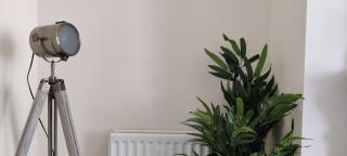 6 Queens Gardens - Eastbourne - 9