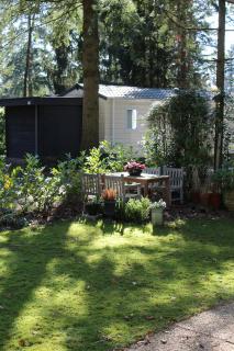 Sfeervol vakantiehuisje in bosrijke omgeving - Vorden - 6