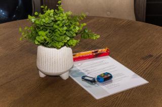 “Pop Inn” modern apartment in heart of Bryanston - 6