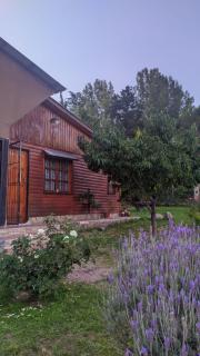 La Perla - Ciudad Lujan de Cuyo - 9