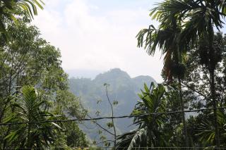 Cool Breeze View - Ella - 7