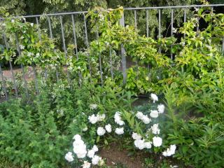 B&B Corte Preare - Lavagno - 1