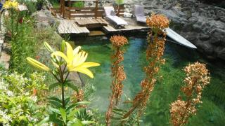 La Cabane du Bandit - - 6