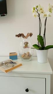 Peggy House - La Spezia - 2